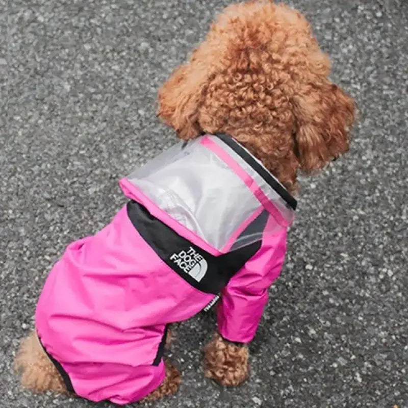 Pet Rain Jackets | Fashionsarah.com