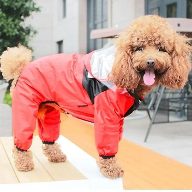 Pet Rain Jackets | Fashionsarah.com