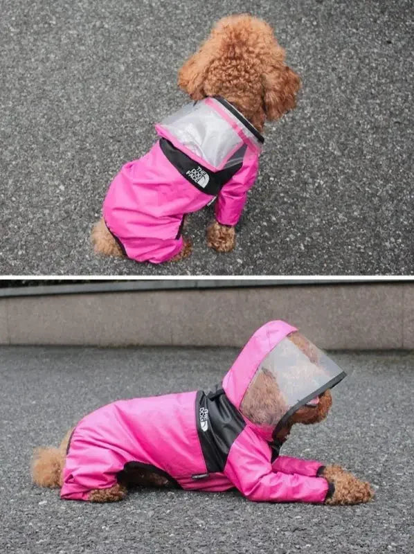 Pet Rain Jackets | Fashionsarah.com