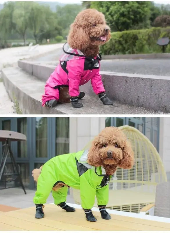 Pet Rain Jackets | Fashionsarah.com