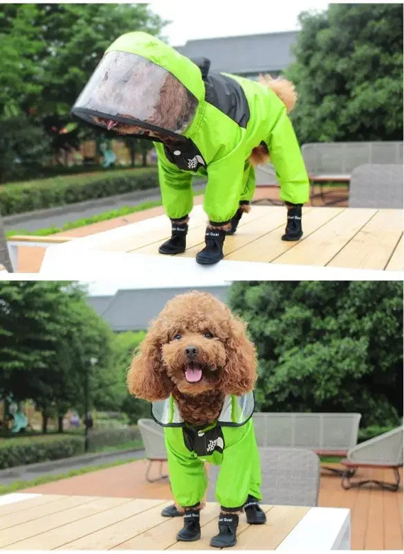 Pet Rain Jackets | Fashionsarah.com
