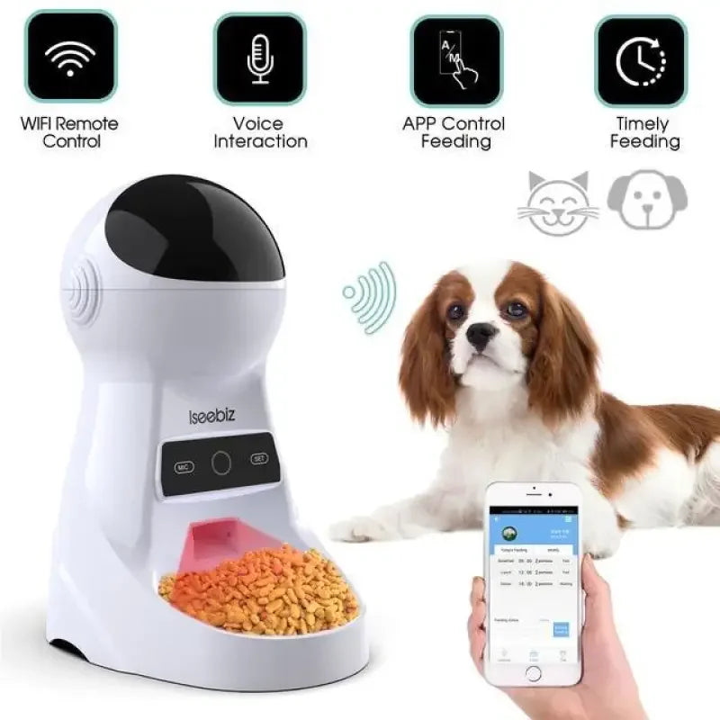 Automatic Feeder Dispensers | Fashionsarah.com