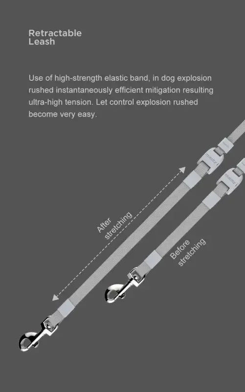 Night Light Walk Out LED Rope | Fashionsarah.com