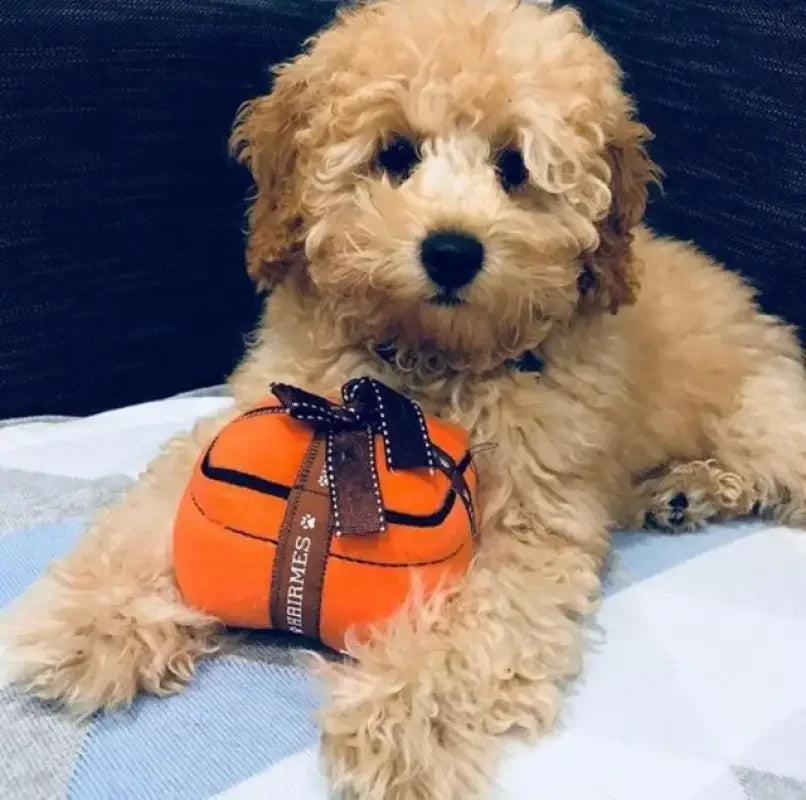 Luxury Chewy Dog Toys | Fashionsarah.com