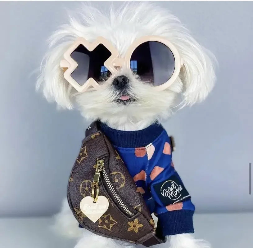 Pet Backpacks Supplies | Fashionsarah.com