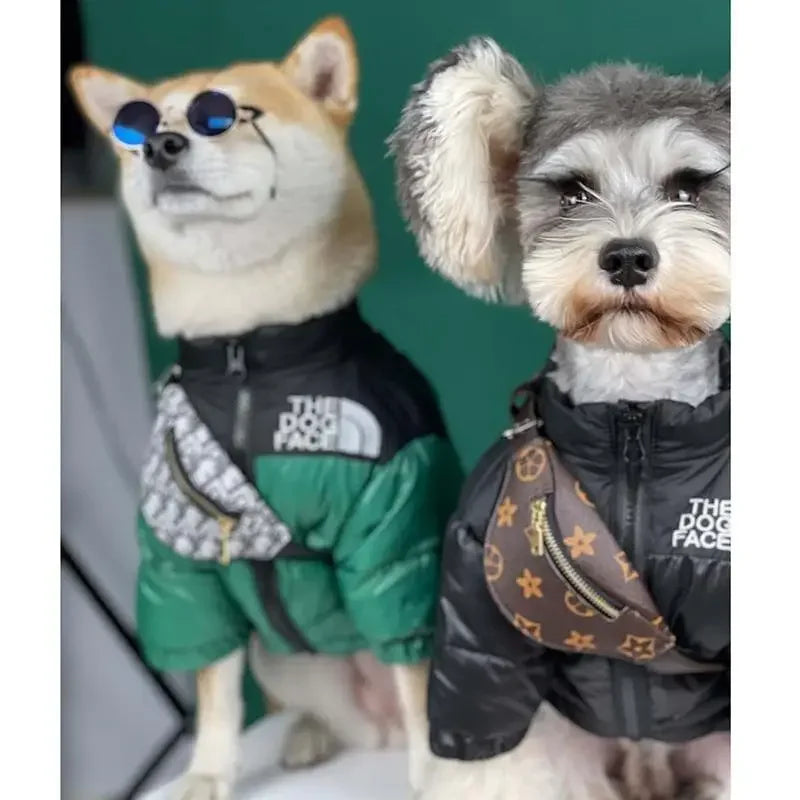 Pet Backpacks Supplies | Fashionsarah.com