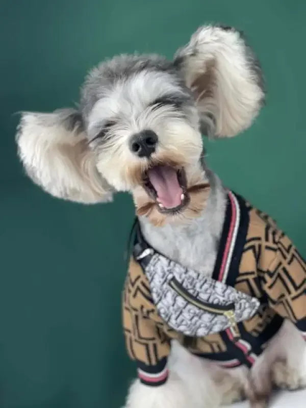 Pet Backpacks Supplies | Fashionsarah.com