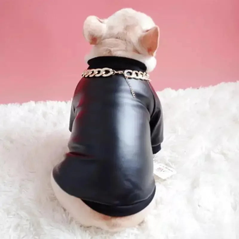 Motorcycle Pets Jacket | Fashionsarah.com