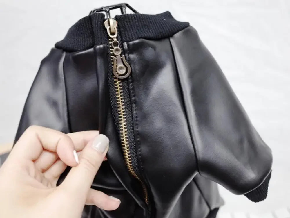 Motorcycle Pets Jacket | Fashionsarah.com