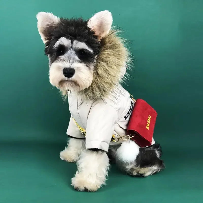 Warm Pet Apparel | Fashionsarah.com