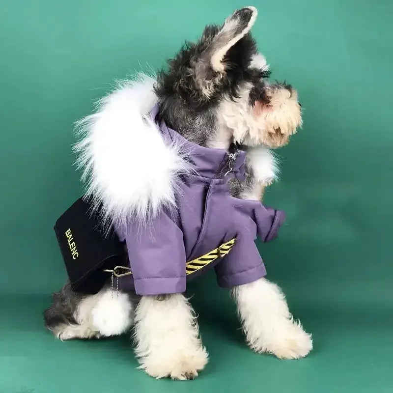 Warm Pet Apparel | Fashionsarah.com