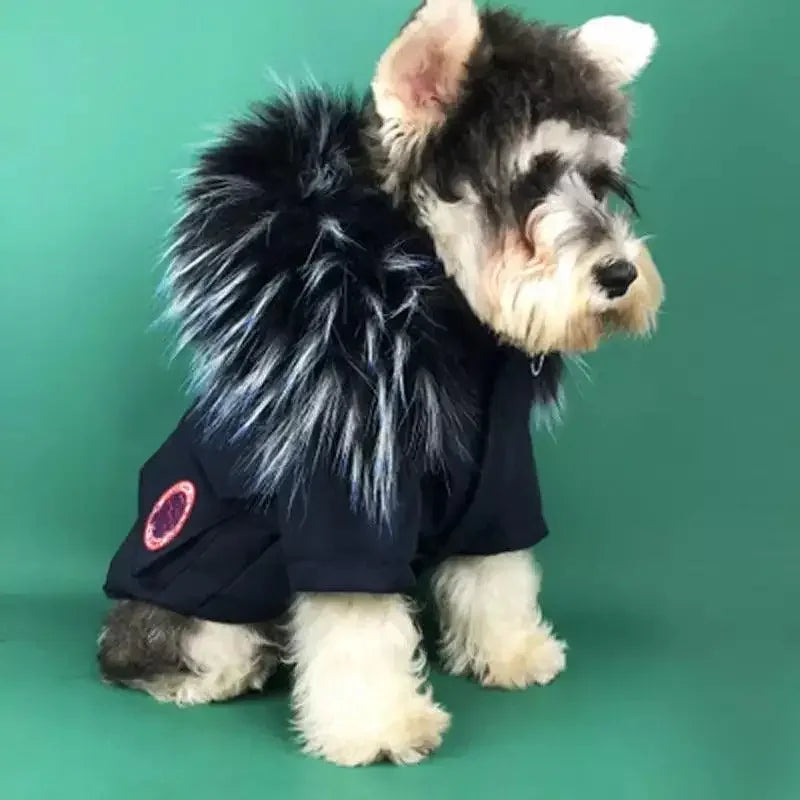 Warm Pet Apparel | Fashionsarah.com