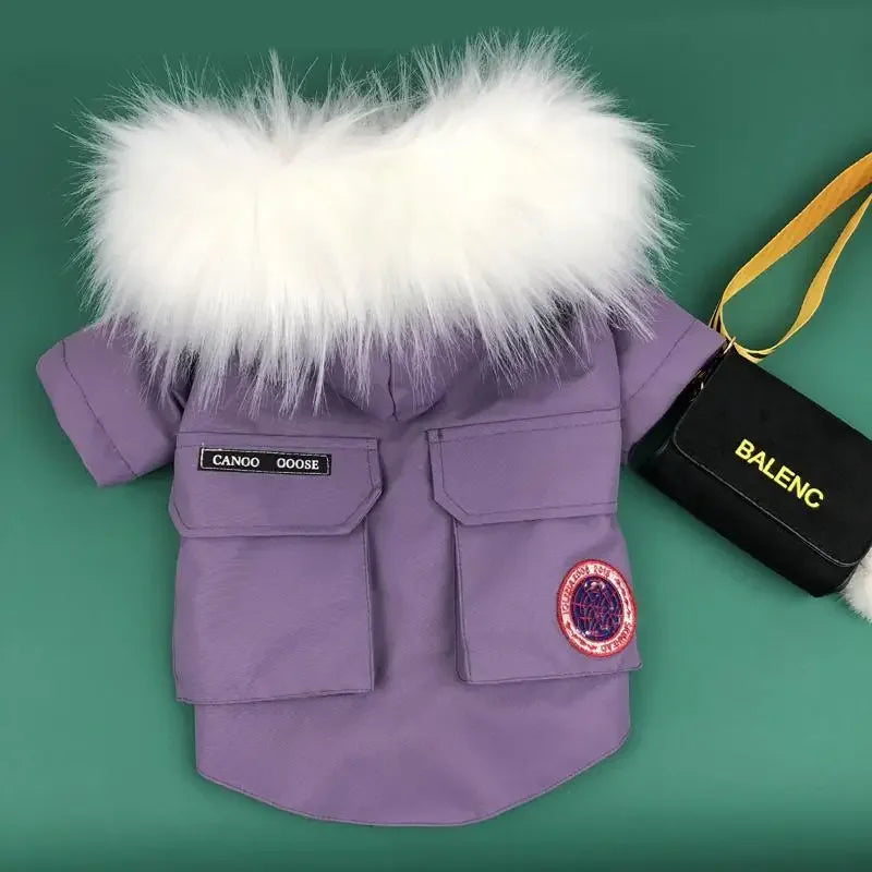 Warm Pet Apparel | Fashionsarah.com