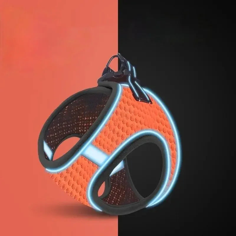 Vest Pet Chain | Fashionsarah.com