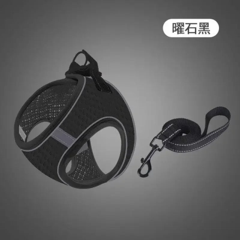 Vest Pet Chain | Fashionsarah.com