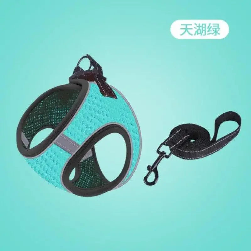 Vest Pet Chain | Fashionsarah.com