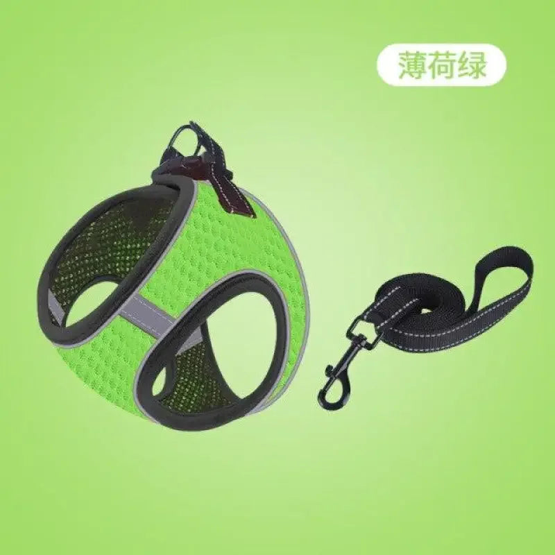 Vest Pet Chain | Fashionsarah.com