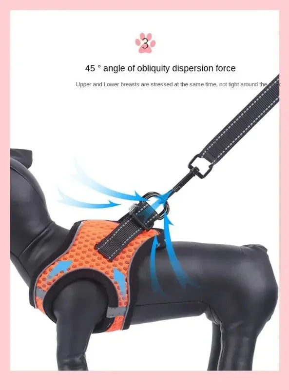 Vest Pet Chain | Fashionsarah.com