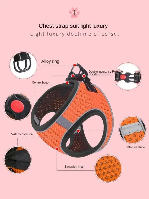 Vest Pet Chain | Fashionsarah.com