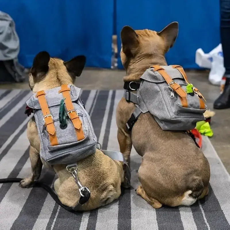 Dog Travel Backpack | Fashionsarah.com