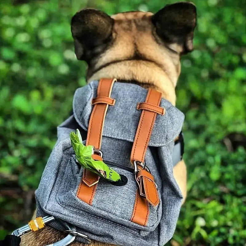 Dog Travel Backpack | Fashionsarah.com
