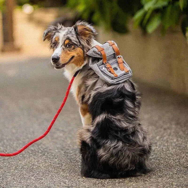 Dog Travel Backpack | Fashionsarah.com