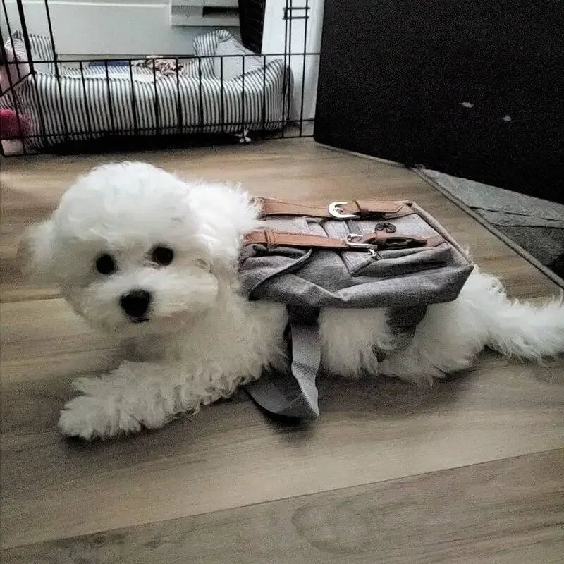 Dog Travel Backpack | Fashionsarah.com