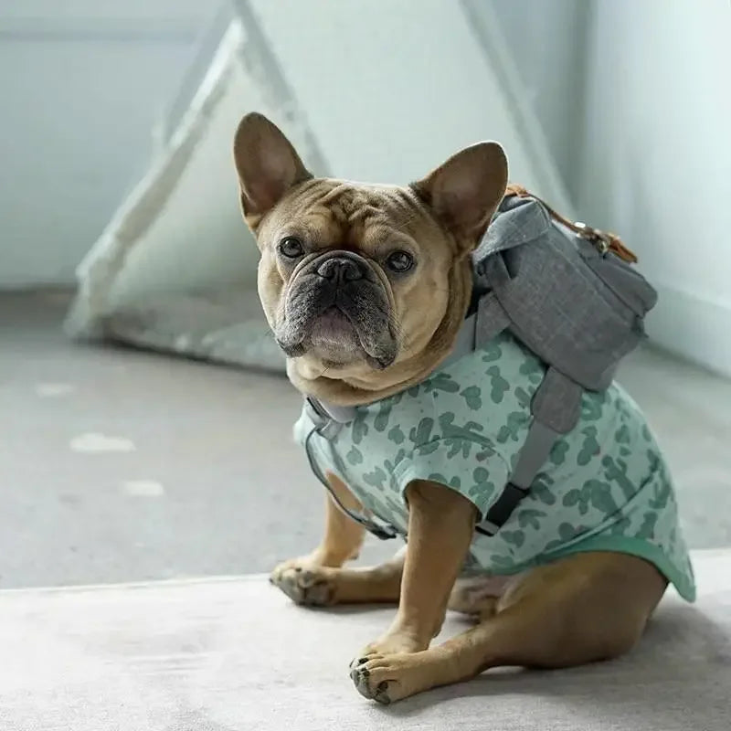 Dog Travel Backpack | Fashionsarah.com