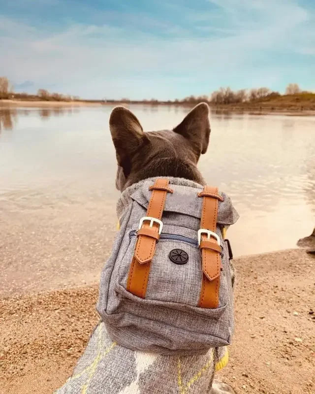 Dog Travel Backpack | Fashionsarah.com