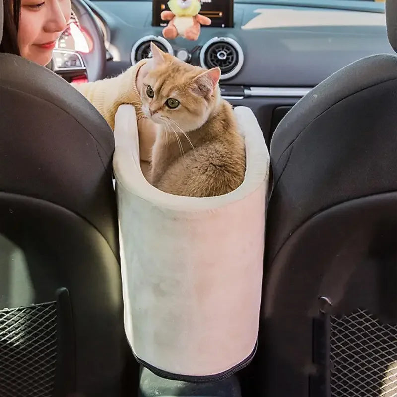 Portable Safety Pet Seat | Fashionsarah.com