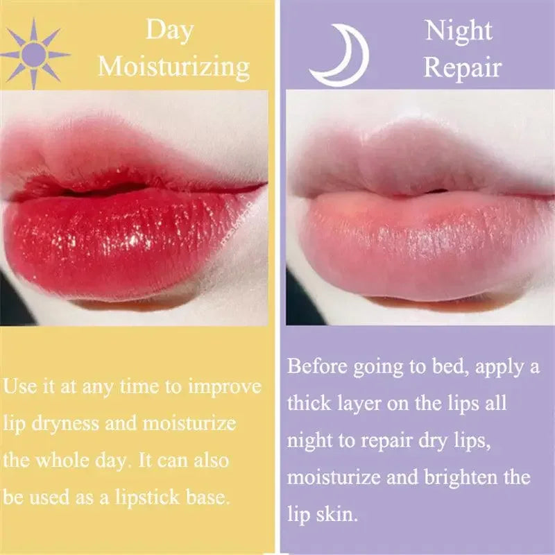 Honey Sleeping Lip Care | Fashionsarah.com