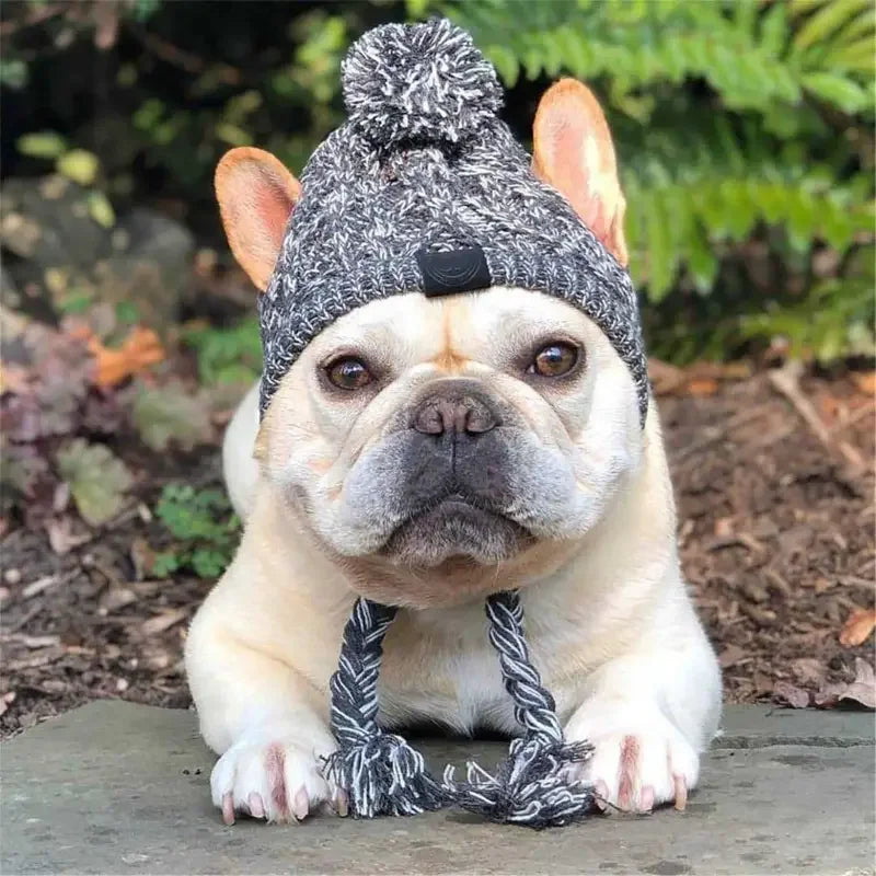 Winter Warm Dog Hats | Fashionsarah.com