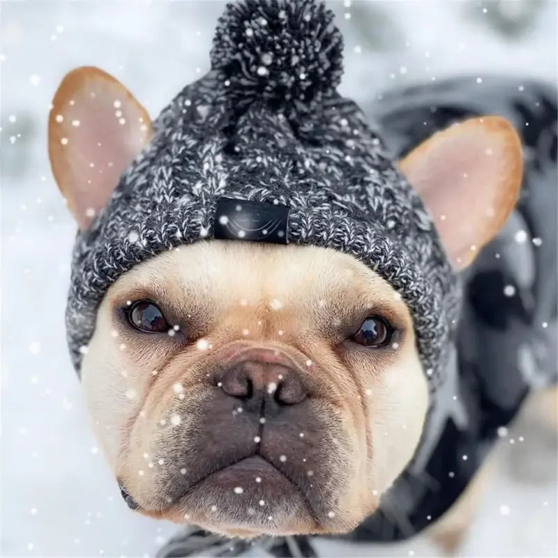Winter Warm Dog Hats | Fashionsarah.com
