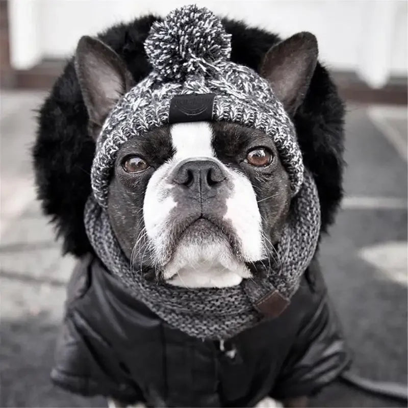 Winter Warm Dog Hats | Fashionsarah.com