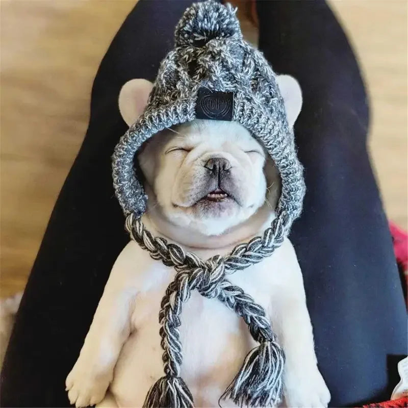 Winter Warm Dog Hats | Fashionsarah.com