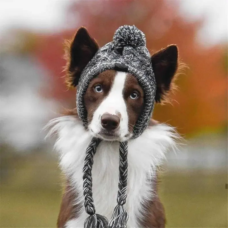 Winter Warm Dog Hats | Fashionsarah.com