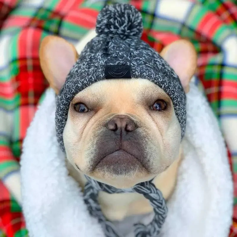 Fashionsarah.com Winter Warm Dog Hats