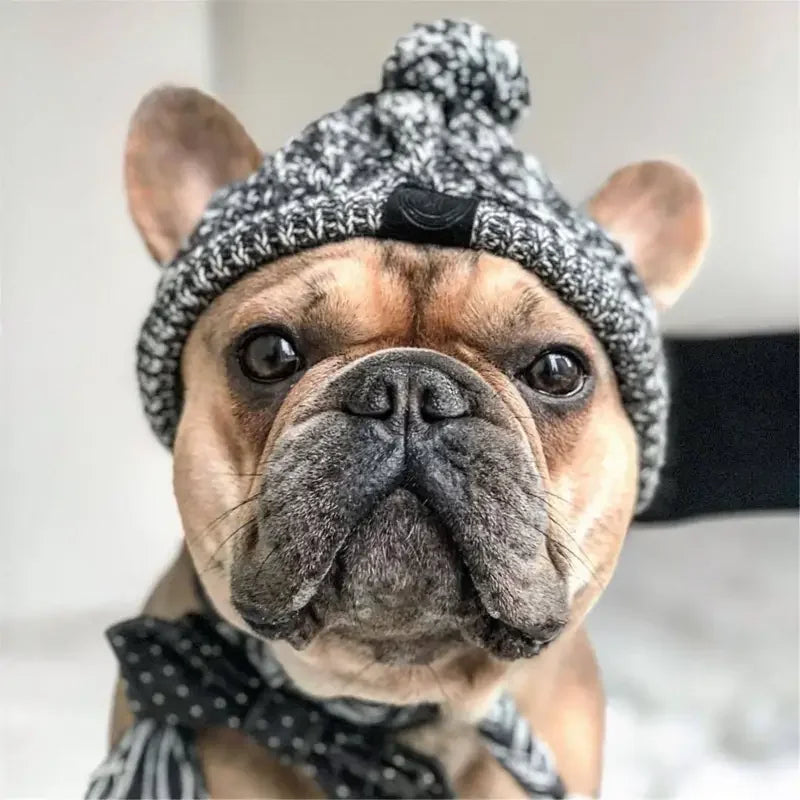 Fashionsarah.com Winter Warm Dog Hats