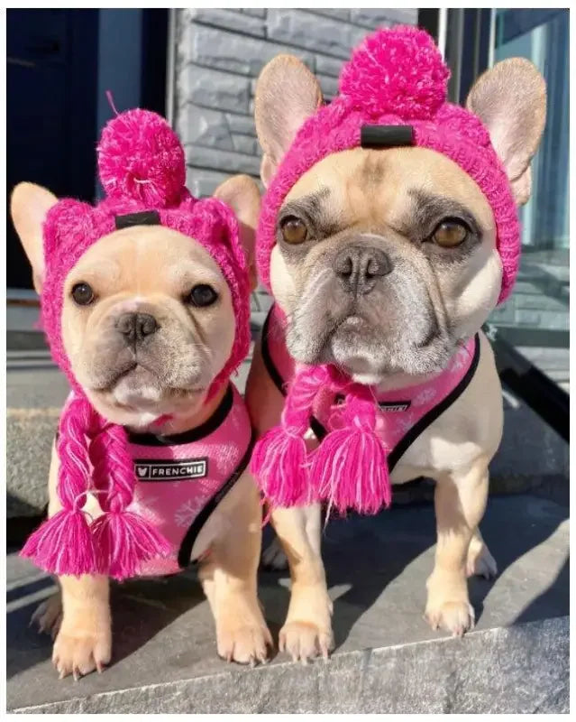 Winter Warm Dog Hats | Fashionsarah.com