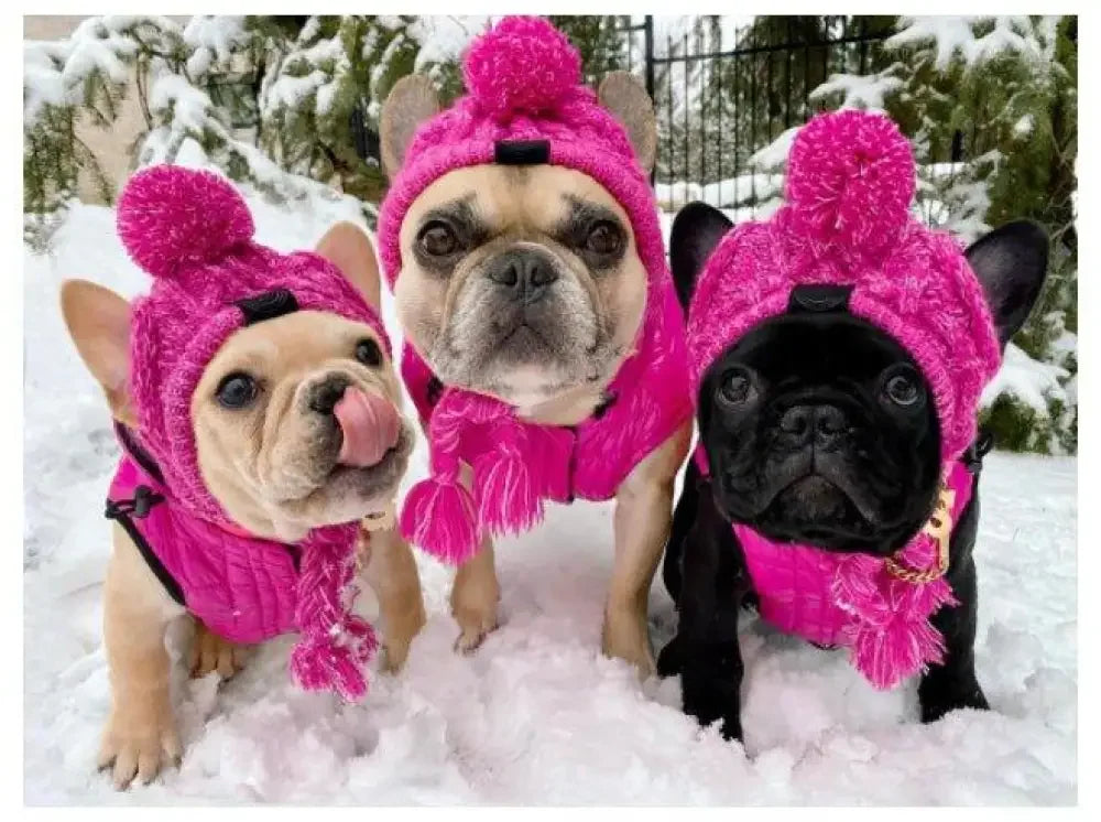 Winter Warm Dog Hats | Fashionsarah.com