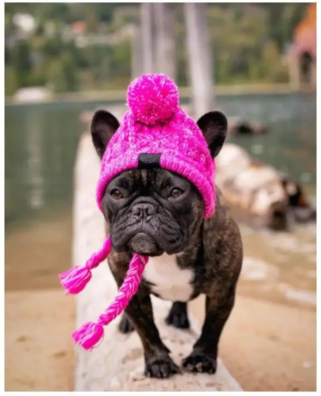 Winter Warm Dog Hats | Fashionsarah.com