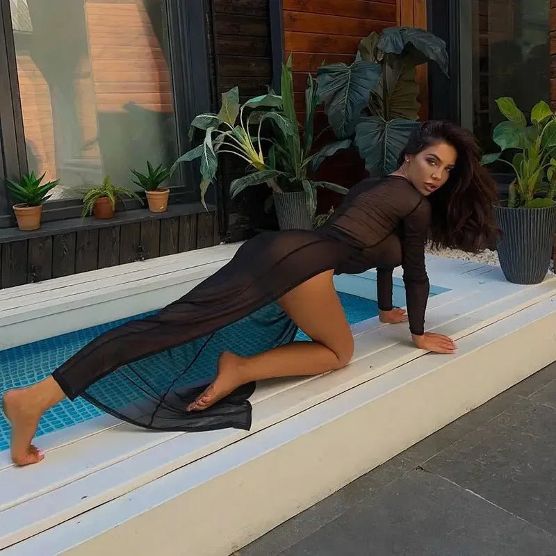 Long Sleeve Mesh Summer Dress | Fashionsarah.com