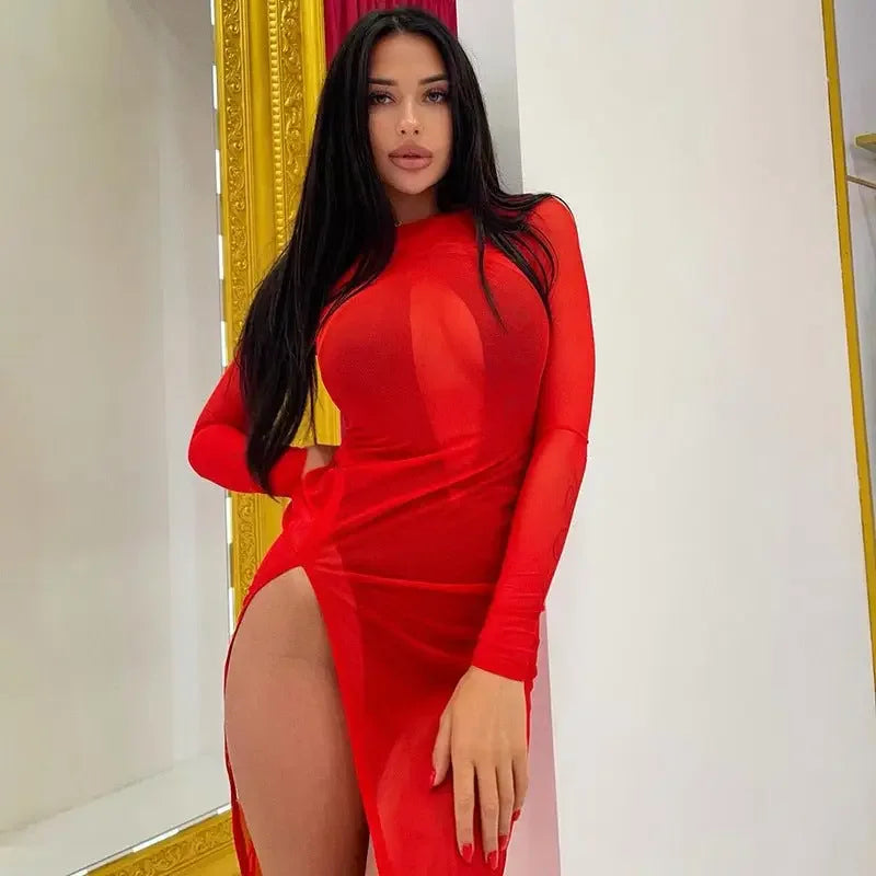 Long Sleeve Mesh Summer Dress | Fashionsarah.com