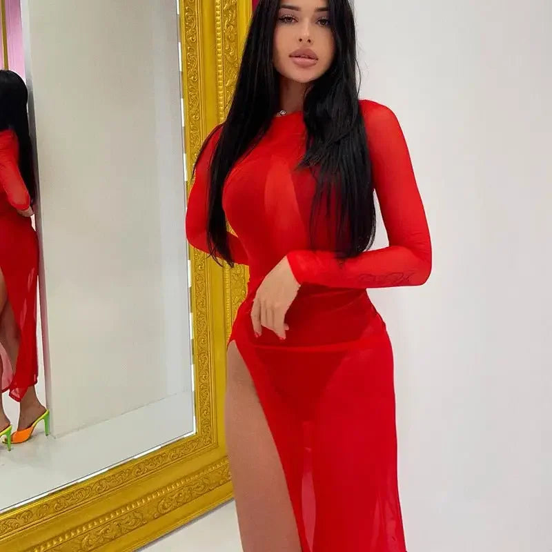 Long Sleeve Mesh Summer Dress | Fashionsarah.com