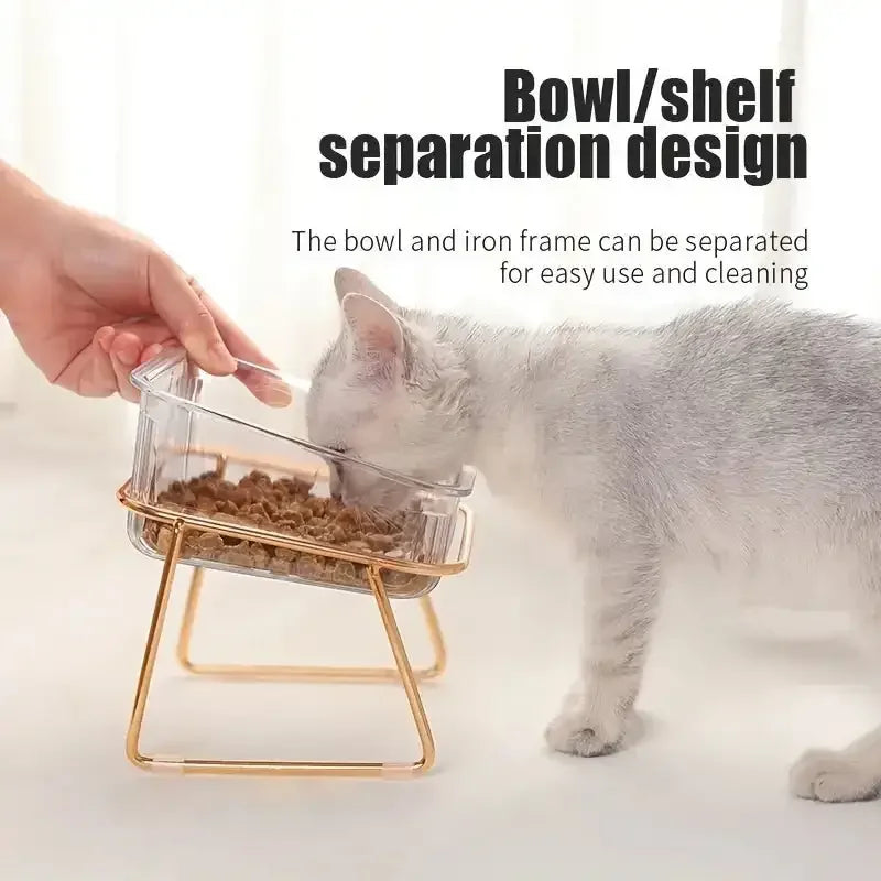Transparent Double Pet's Bowl | Fashionsarah.com