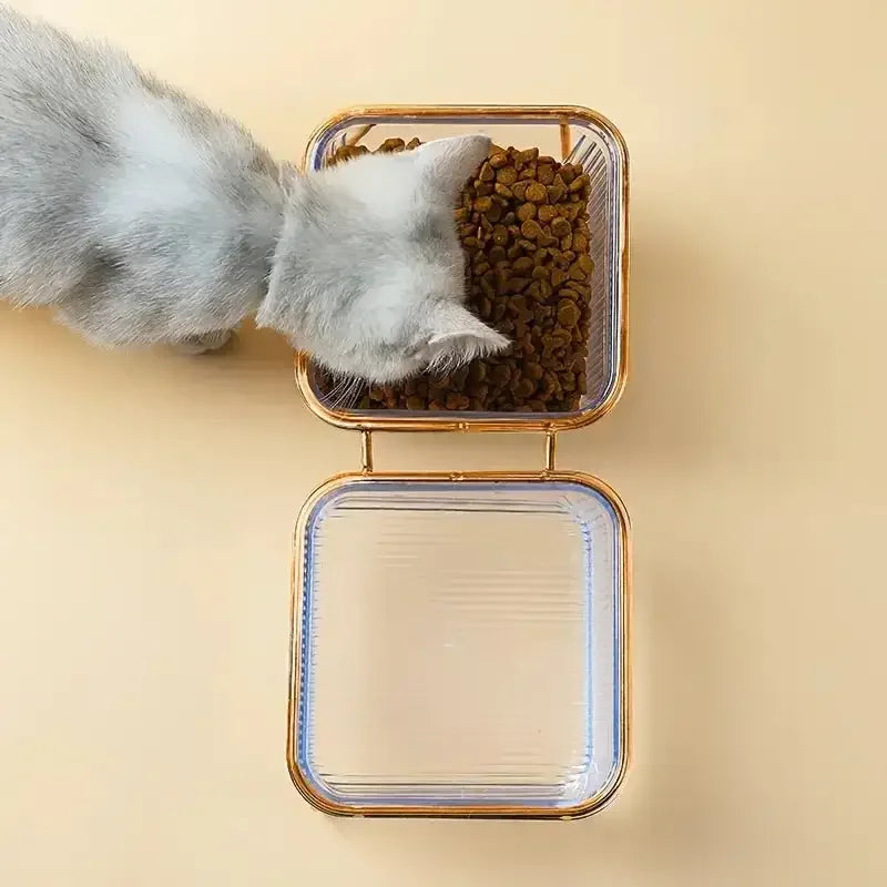 Transparent Double Pet's Bowl | Fashionsarah.com