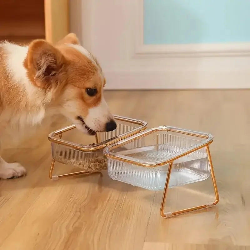 Transparent Double Pet's Bowl | Fashionsarah.com