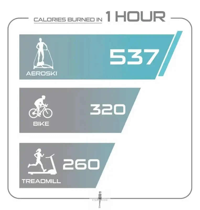 Fashionsarah.com Fashionsarah.com Aeroski 2.0 Ski Fitness Machine with Recoil Spring Resistance