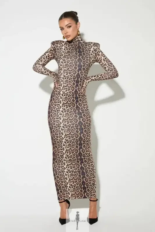 Fashionsarah.com Fashionsarah.com Leopard Print Bodycon Maxi Dress