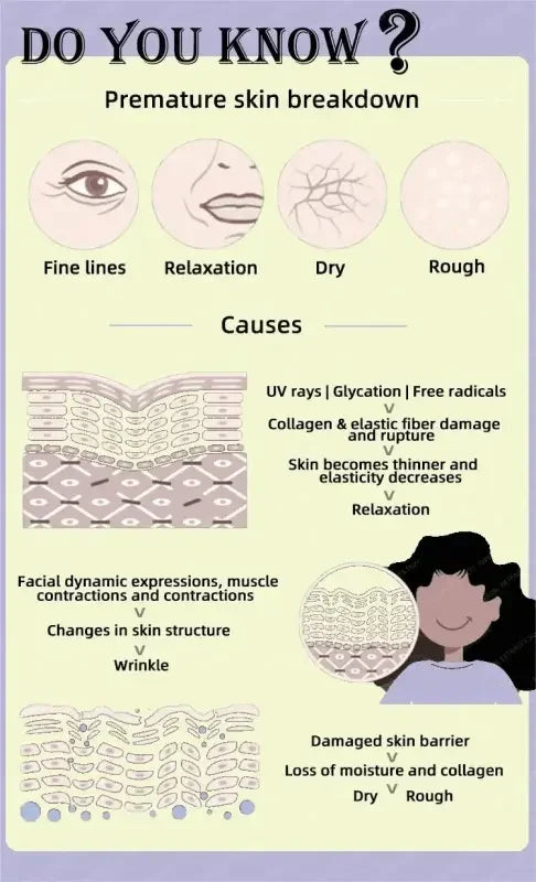 Infographic on Premature Skin Breakdown for Anti-Aging Serum Wrinkle Remover Product